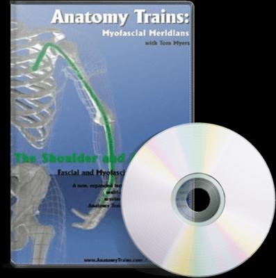 Advanced Technique Volume 2: Myofascial and Deep Tissue Massage Therapy  Technique Shoulder 2-DVD Training